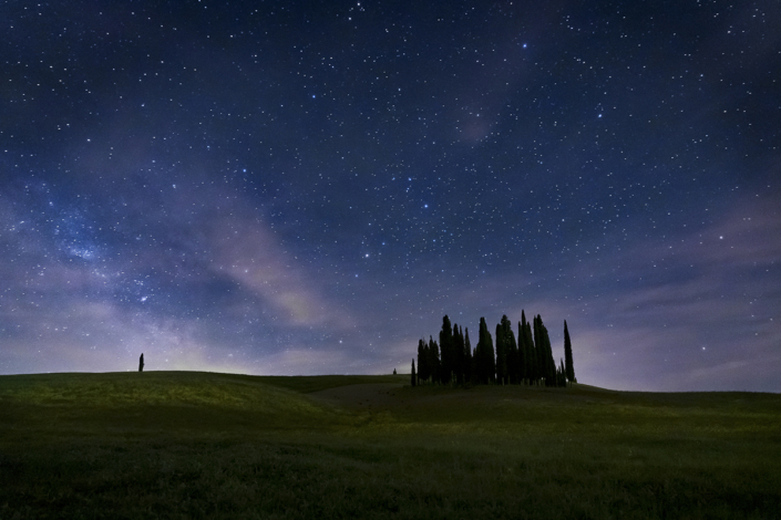 Cipressi - Val D'orcia - Luisotti Luigi - fotografo