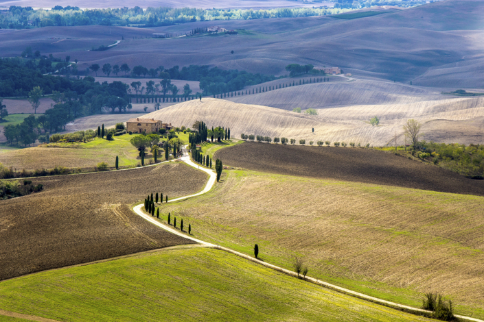 Podere - Pienza - Luisotti Luigi - fotografo