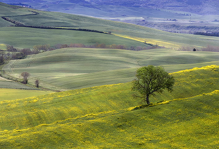 Solitudine - Val D'orcia - Luisotti Luigi - fotografo