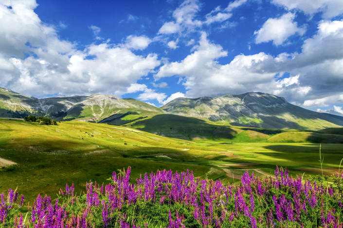 Vista - Castelluccio di Norcia - Luisotti luigi - fotografo