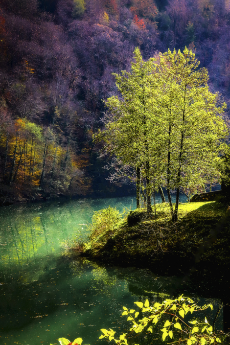 Illuminato - Isola Santa - Luisotti Luigi - fotografo