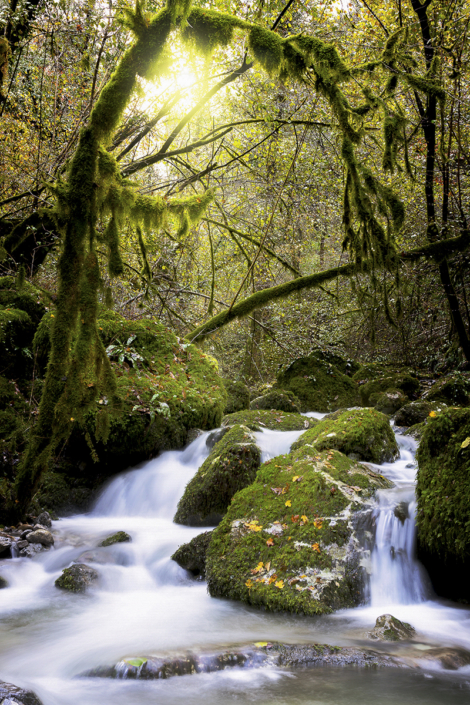 Luce - Fabbriche di Vallico - Luisotti Luigi - fotografo